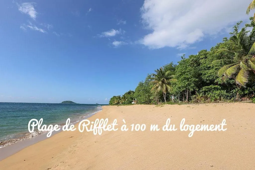 La P'Tite Barque Antillaise Deshaies